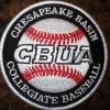 Not Specified Chesapeake Basin (CBUA) Chesapeake Basin CBUA Patch